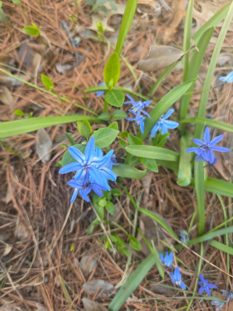 The current image has no alternative text. The file name is: 20260408_1337262116541771349125668.jpg